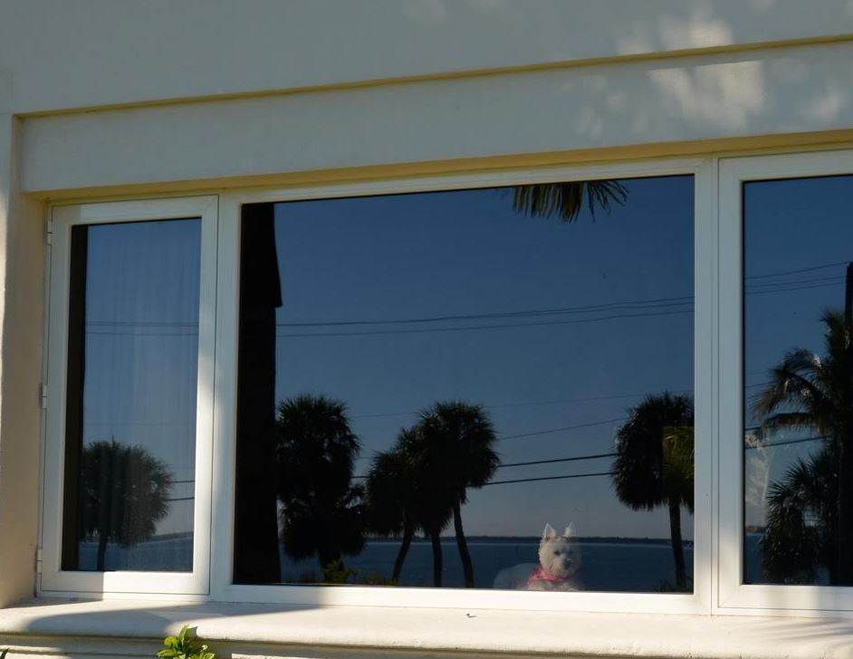 Do Hurricane Windows Crack Easily?