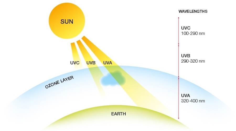 Do Impact Windows Block UV Rays?