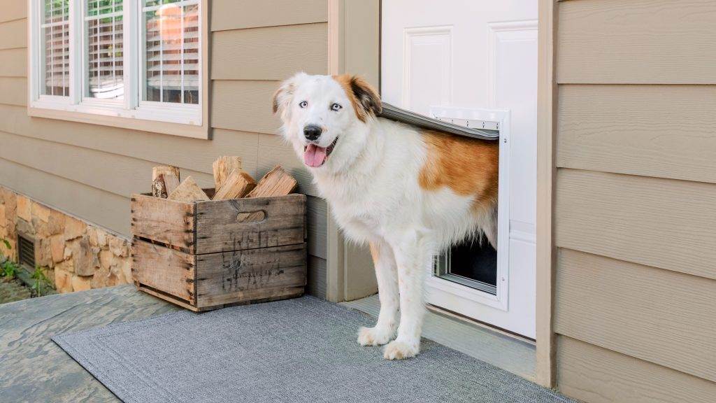 Can Impact Doors Have Pet Doors Installed?