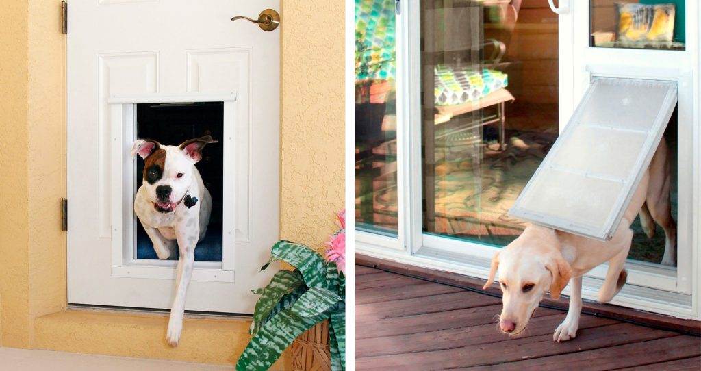 Can Impact Doors Have Pet Doors Installed?