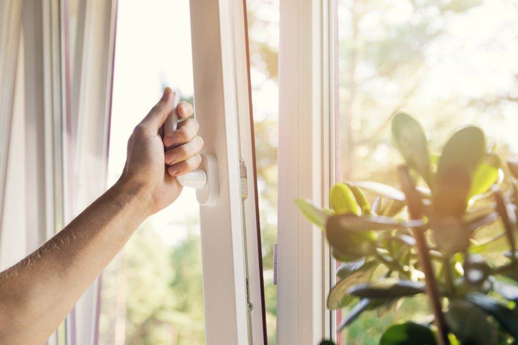 Should You Open Your Windows Once A Day?