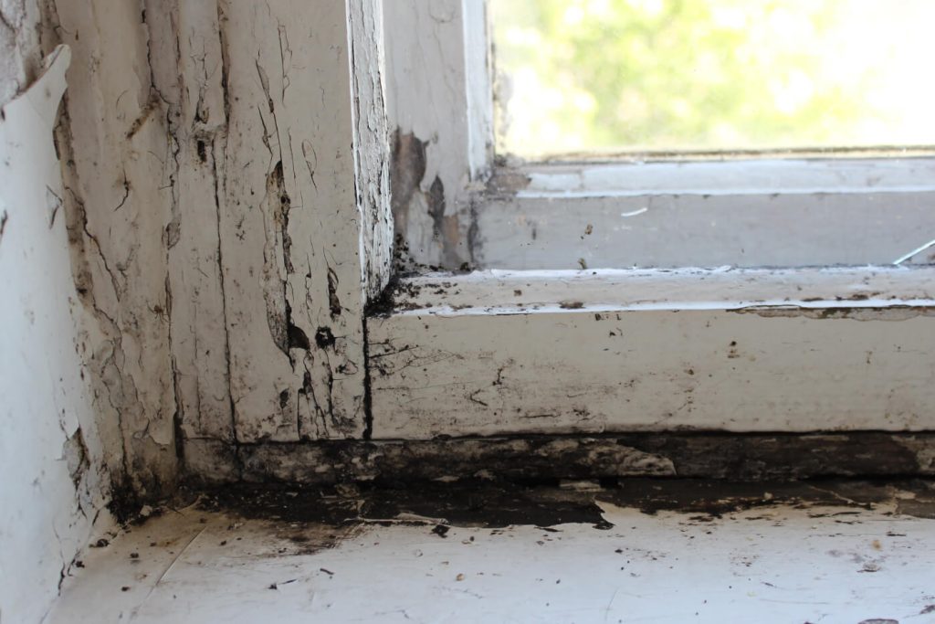 Do Impact Windows And Doors Prevent Mold And Mildew Buildup?