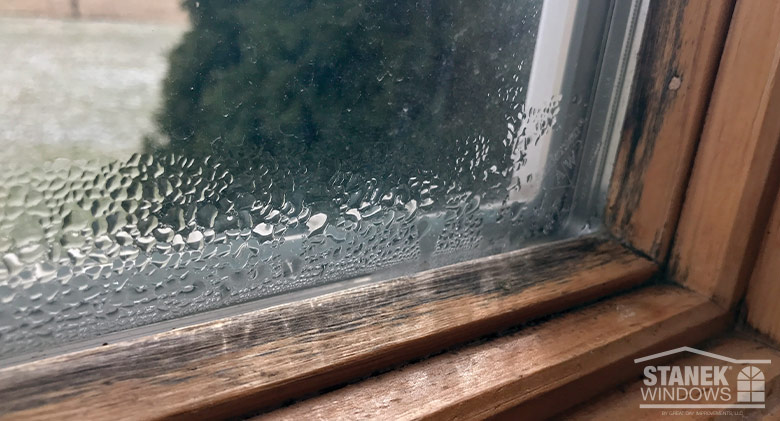 Do Impact Windows And Doors Prevent Mold And Mildew Buildup?